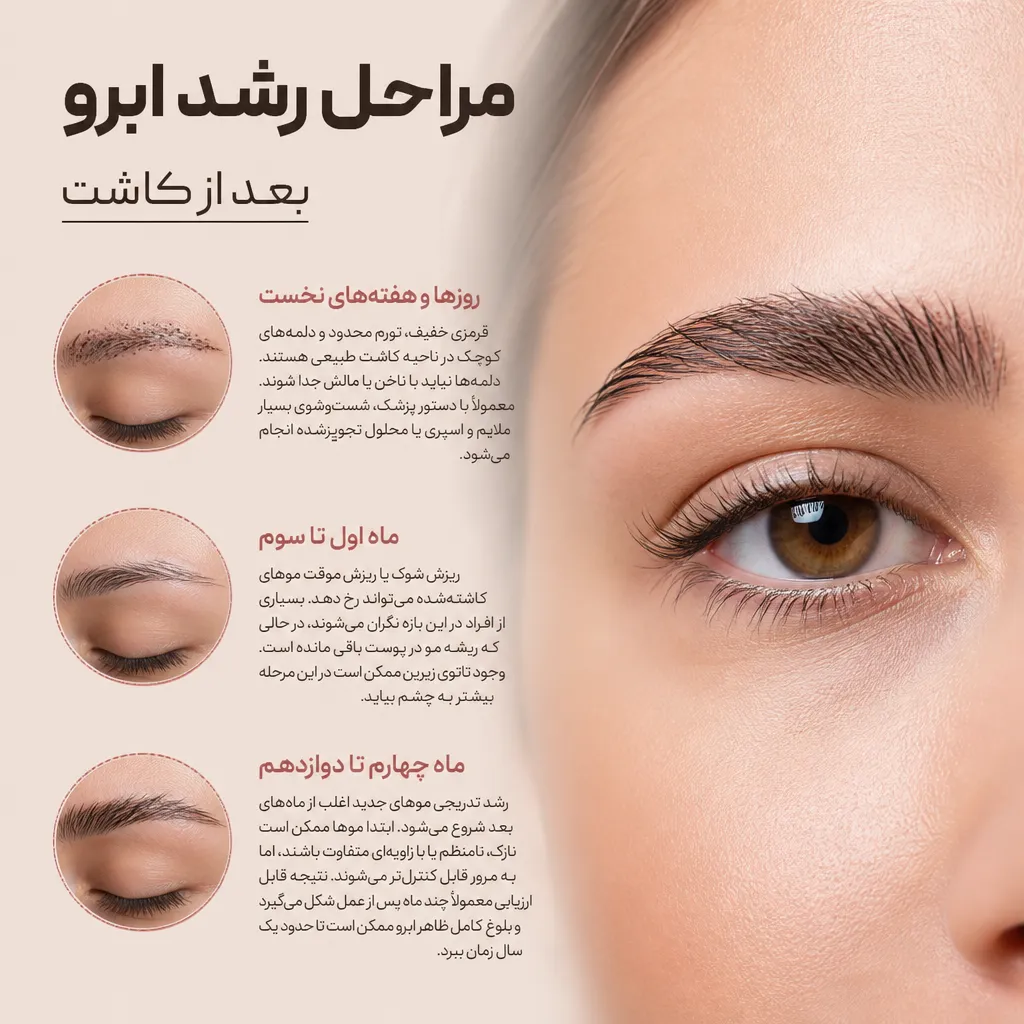 مراحل رشد ابرو بعد از کاشت
